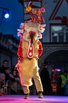 Kamniški karneval navdušil z barvito povorko (78)